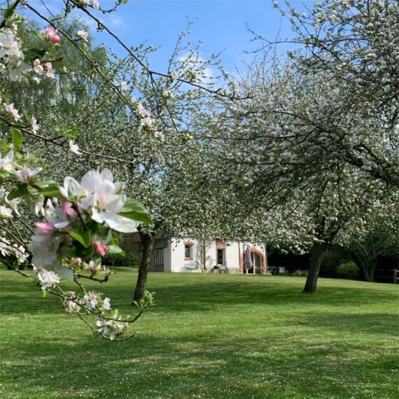 Nos offres Domaine Le Coq Enchanté, offre spéciale printemps sous les pommiers, locations hébergements